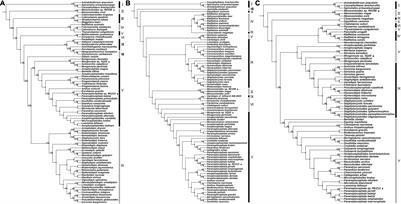 Expansion of Cyclophyllidea Biodiversity in Rodents of Qinghai-Tibet Plateau and the “Out of Qinghai-Tibet Plateau” Hypothesis of Cyclophyllideans